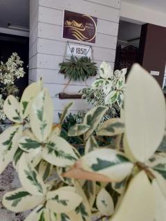 Hotel Coffee Bean - 1