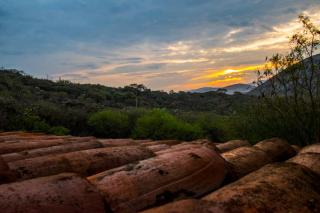 Hotel Casa del Arbol - 4