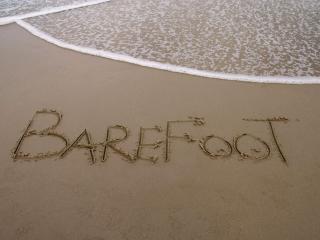 Barefoot 7 Fabulous Fingal Bay - Fingal Bay - 6