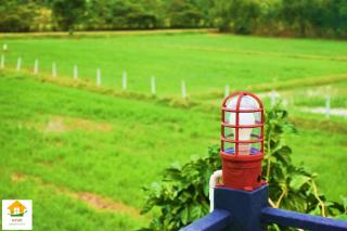 นงนุช โฮมสเตย์ & รีสอร์ท บุรีรัมย์ - 3