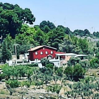 CASA RURAL "ECCEHOMO de BORJA" - Borja - 8