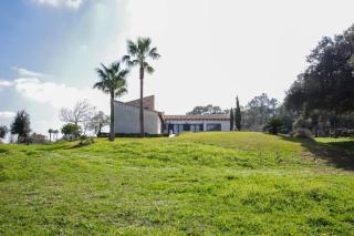 Son Paparra - 4