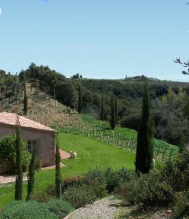 Lavacchio 12 by Salogi Villas - Camigliano - 4