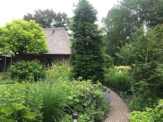 B&B. Het Hunebed Rolde - 2
