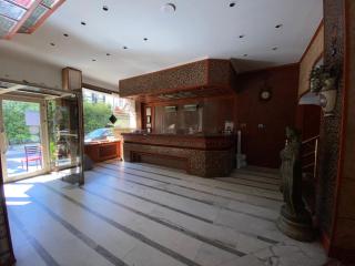 Hotel Monopol - Istanbul - 0
