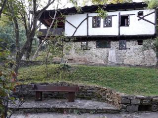 Etnographic Houses - Dalbok-Dol - 7