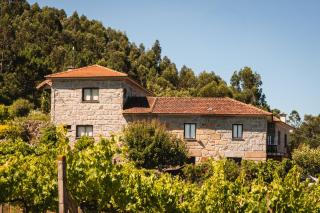 Leira da Cruz Grande - 4