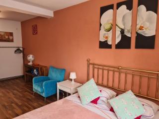 Luca's studio 3 ,Close to Therme Bucharest, Airport Otopeni - Baloteşti - 8