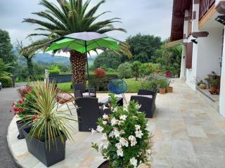 Villa Goxoki avec piscine Saint Jean Pied de Port - Saint-Jean-Pied-de-Port - 7