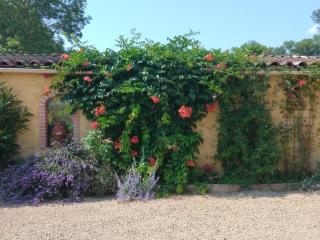Albi à proximité, maison d'hotes les oliviers - Rosières - 8