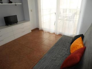 Apartamentos Argenta Caleta 3000 - 2