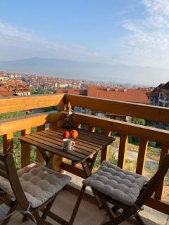 Mirabell Studio Bansko - Amazing view & fireplace - 0
