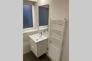 Huge BBQ Garden 1, Basement app Two Bathrooms, AC, Free Parking - Lubiana - 4