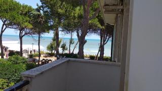 Room in BB - Quadruple room in Pineto - Relaxing holiday - Pineto - 8