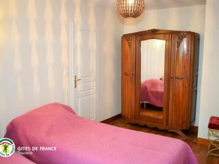 Maison vigneronne XIXe cœur Val de Loire, 3 chambres, jardin, proche châteaux Vallée des Rois - FR-1-381-82 - Cangey - 1