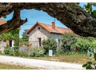 Charmant gîte avec terrasse et piscine, ferme familiale, produits locaux, animaux acceptés - FR-1-496-143 - Saint-André-dʼApchon - 9