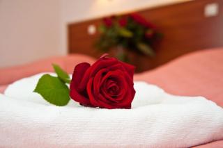 Hotel Jantar Wellness & Spa - 2