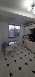 TESTEMITEANU APARTMENT - Chişinău - 4