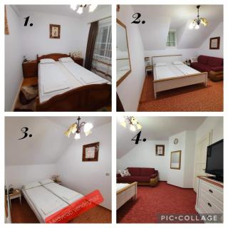 Pensiunea Laba Ursului - Medveláb Vendégház - Sovata - 9