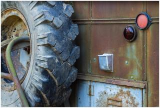 Romantic stay in apple tree park - Vintage Gaz-63 - 1