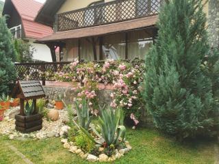 Casa Veveritelor - Bran - 8