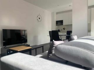 Ramón y Cajal SUITES DE LUXE - León - 5