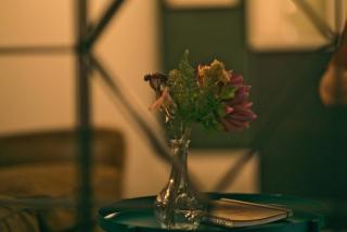 British room Billard & jacuzzi centre ville parking gratuit - Mulhouse - 7