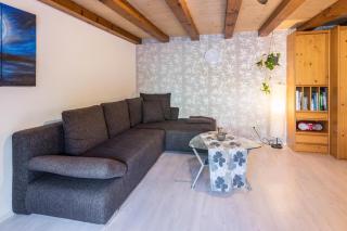 Ferienwohnung Holl-Horn - 8