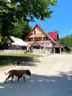 Turistički centar Vučje - Nikšić - 9