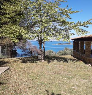 Villa Pheia - Agios Andreas Ilias - 0