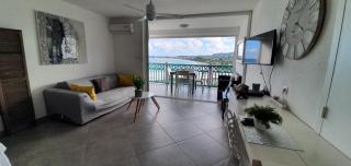 Un petit coin de paradis - Ocean view Orient Bay - St Barthélémy - 7