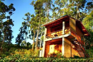 Ella Okreech Cottages - 1