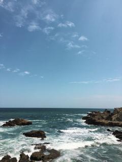 Hermoso Departamento Amueblado frente al mar - 9