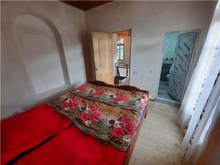 Nino & Tarzan Guesthouse - 3