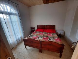 Nino & Tarzan Guesthouse - 4