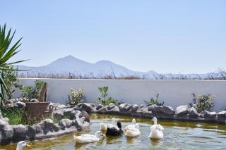 Glarakia Studios - 8