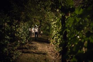 Kuća za odmor Weinrauch - 2