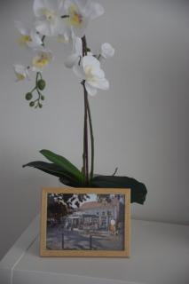 Feel Danube apartment - Zemun - 4