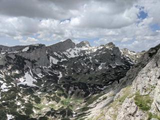Suri - Plužine - 2