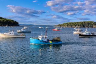 Birch Cottage - Bar Harbor - 9