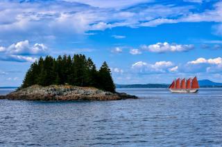 Birch Cottage - Bar Harbor - 7