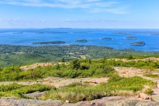 Birch Cottage - Bar Harbor - 6