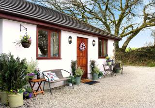 The Studio with Terrace and EV point - Callington - 0