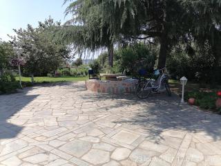 Elena's Green House - Nea Iraklitsa - 3