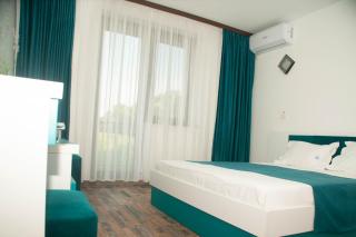 PENSIUNEA AGROTURISTICA VALENTINO - 1