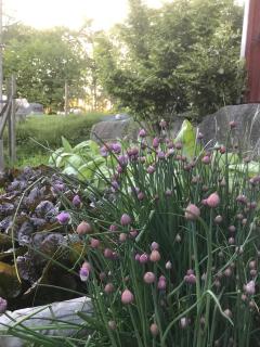 Österlens bä och bädd - Kivik - 2