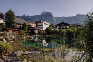 Hotel Goldener Stern - Abtenau - 5