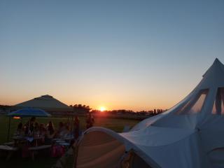 Glamping with Llamas - Wisbech - 9