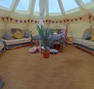 Glamping with Llamas - Wisbech - 7
