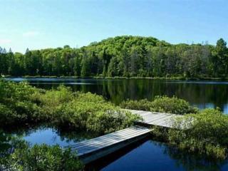 Whole home, private lake, sauna, WFH office - Michigamme - 0